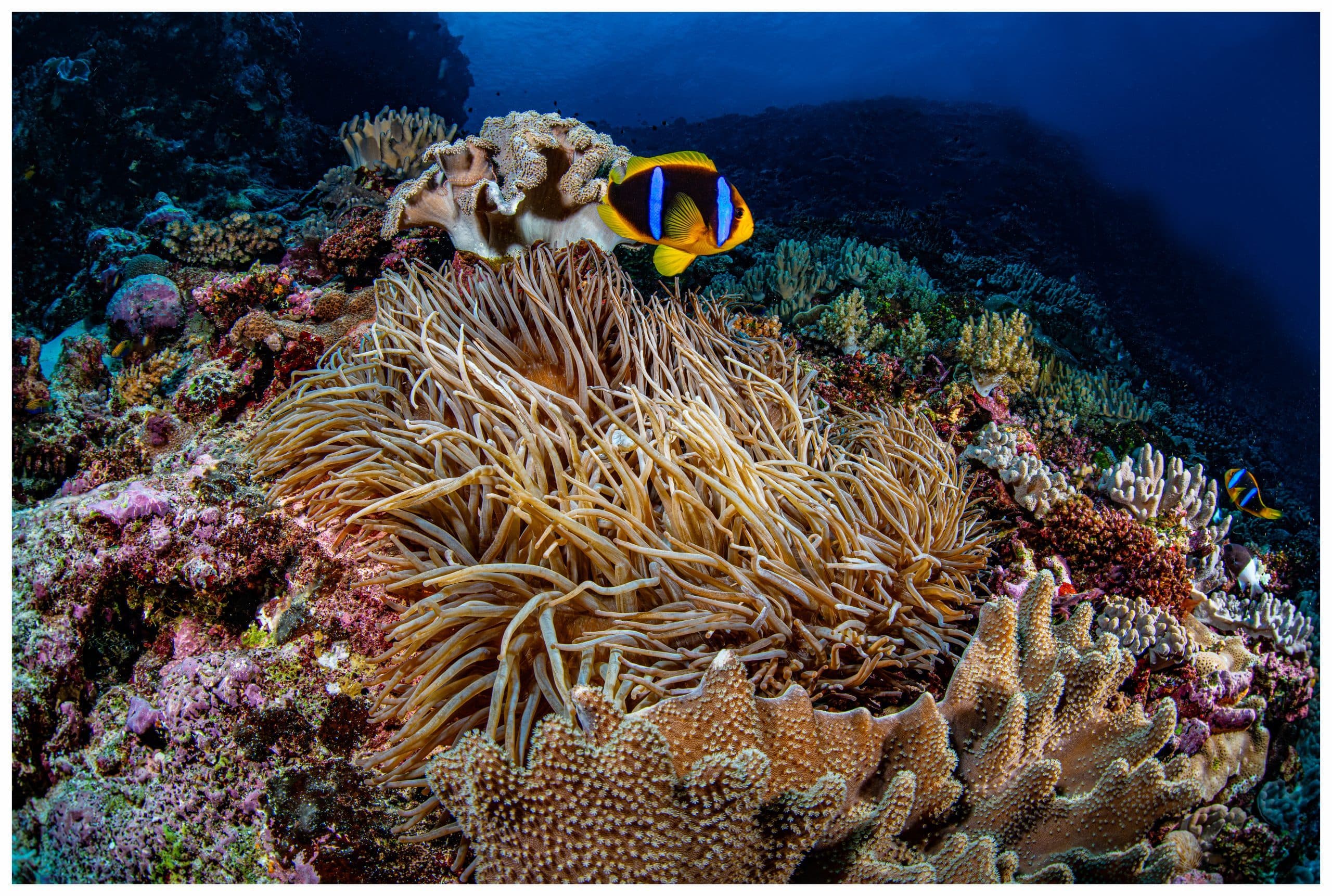 The Pacific ocean at the front line of the climate crisis