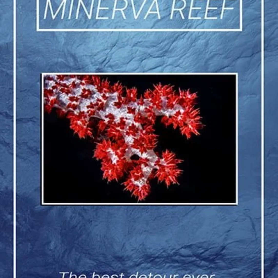 Minerva Reef, the remote South Pacific reef surveyed by Ocean Soldiers
