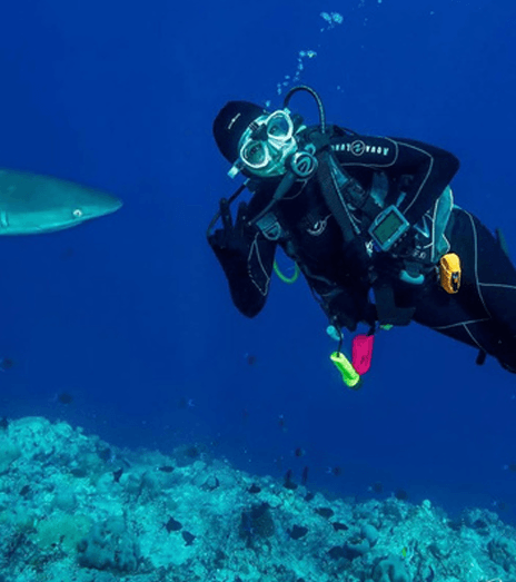 Diver swimming beside a shark over a reef